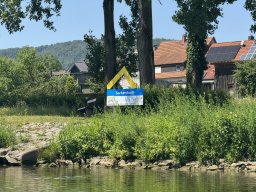Mainschwimmen Juni 2026